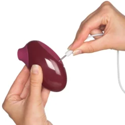 Flamingo clitoris vibrator